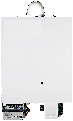 bx pt suprima he lower2 proc 250.gif